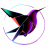 cropped-kolybriweb.png